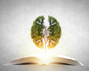 兔八哥的角色列表